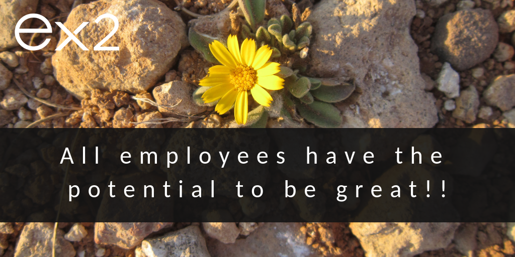 Employee Potential: All employees have the potential to be great!!