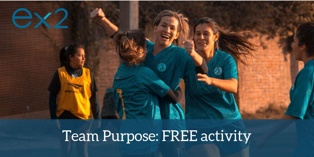 setting team purpose - free activity for managers and team leaders