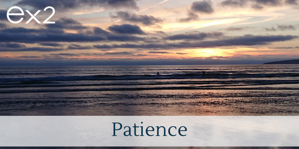 Patience: Resilient Leadership