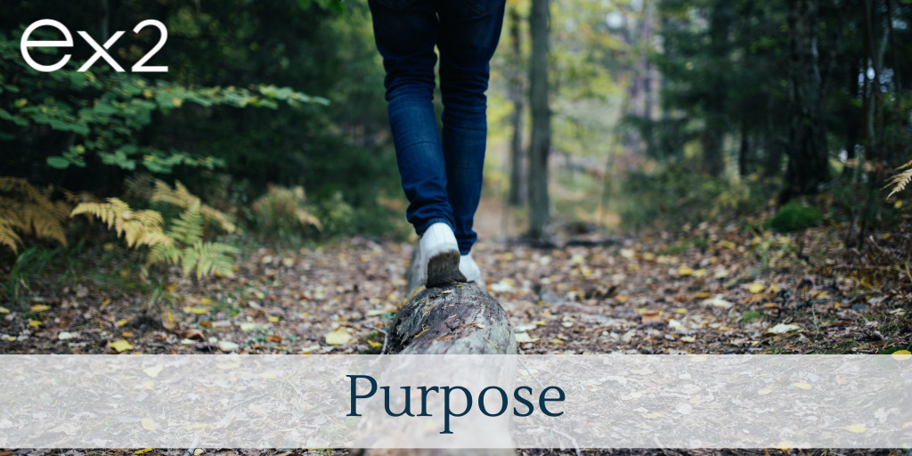 Purpose: the Resilient Leader